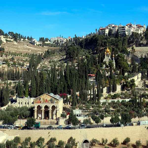 Highlights of Israel and Jordan