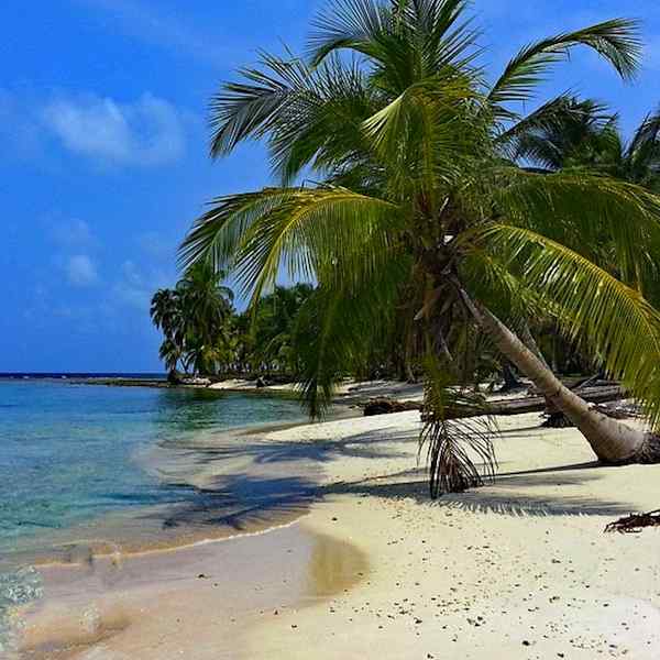 Best of Panama